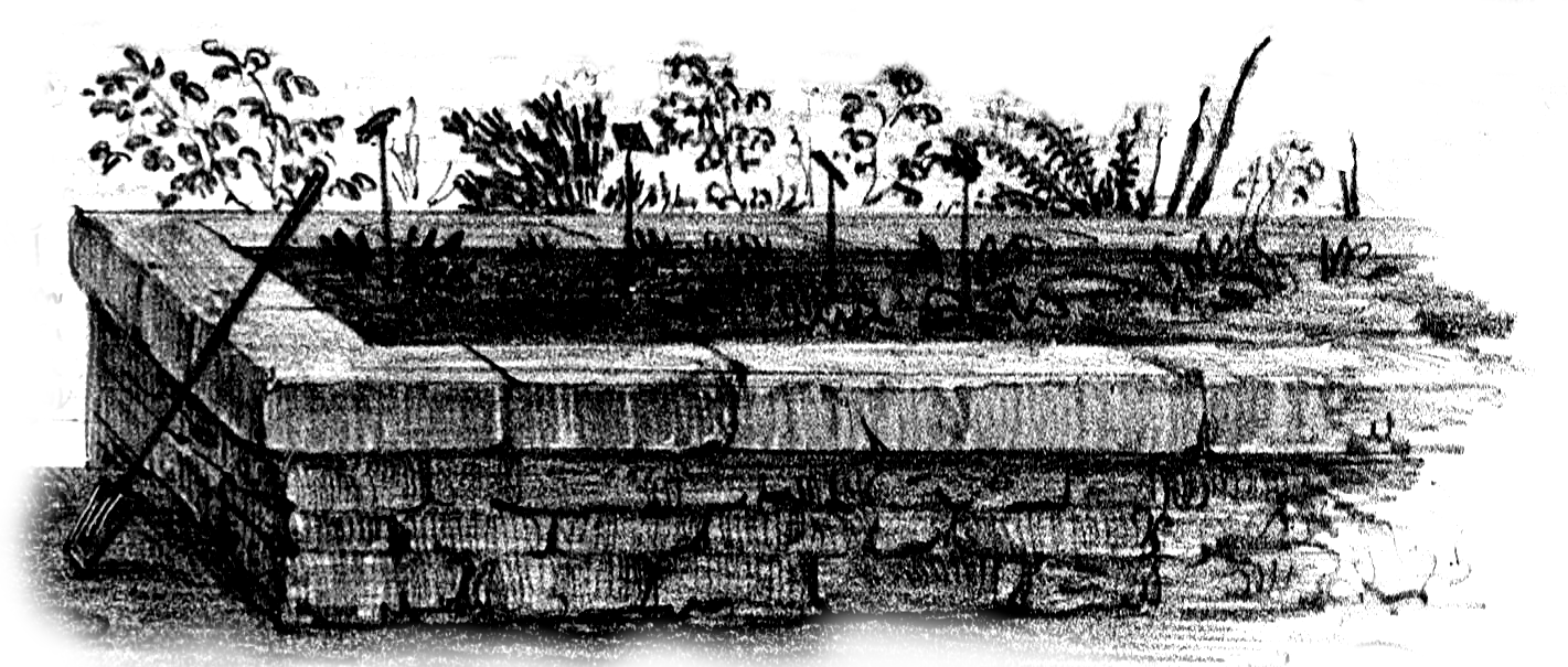 Jardin numérique